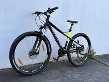 Bulls sharptail street - bulls,