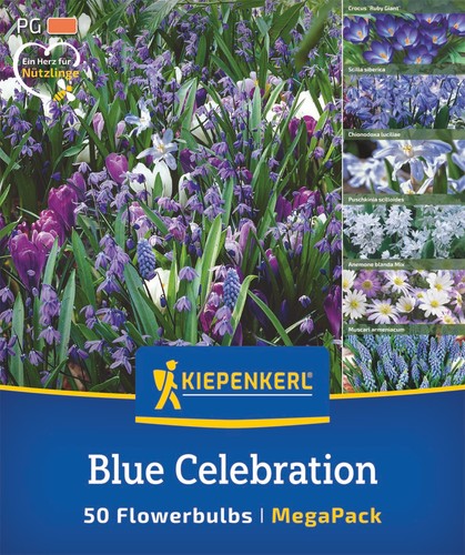 Kiepenkerl blue celebration - kiepenkerl,