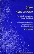Stern unter Sternen | Buch |