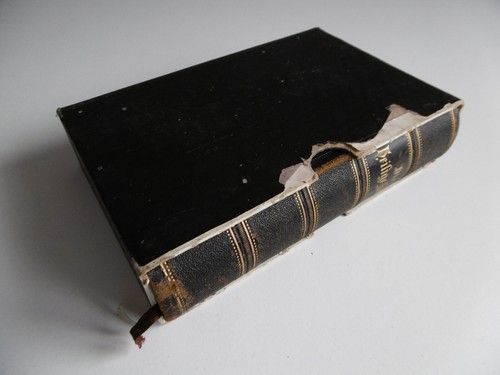 Die heilige schrift 1913 - die,