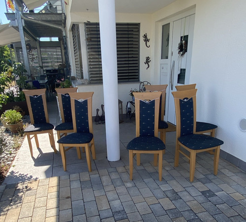 6er set esszimmerstühle holz - esszimmerstühle,
