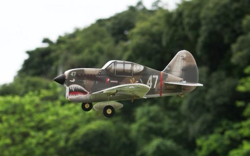 Pichler flying tigers - flying,