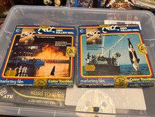 Orca der Killerwal 951 + 952 -