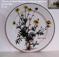 VILLEROY & BOCH Botanica Anthemis tincturia 24 cm