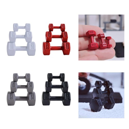 3pcs puppenhaus gym langhantel - gym,