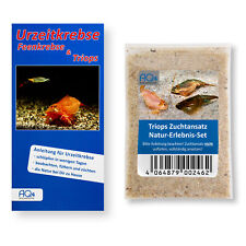 Triops Zuchtansatz