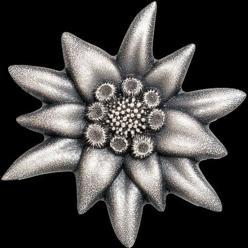 Edelweiss mountain star ultra - edelweiss,