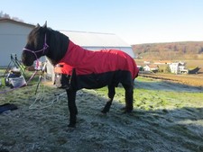 Winterdecke 1200D, 300g