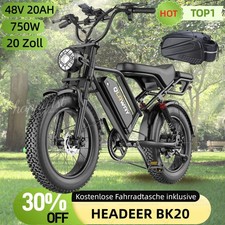 20Zoll Elektrofahrrad 750W