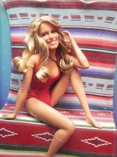 Neu Barbie Farrah Fawcett