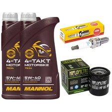 Inspektion Öl 2L Set