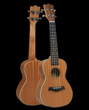 Concert Ukulele Starterset 23