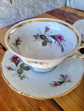 Walbrzych pompadour rose - walbrzych,