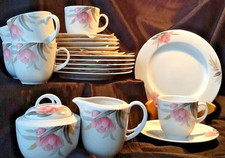 edles Winterling Schwarzenbach Porzellan Seerose Kaffeeservice für 6 Pers. NEUWA