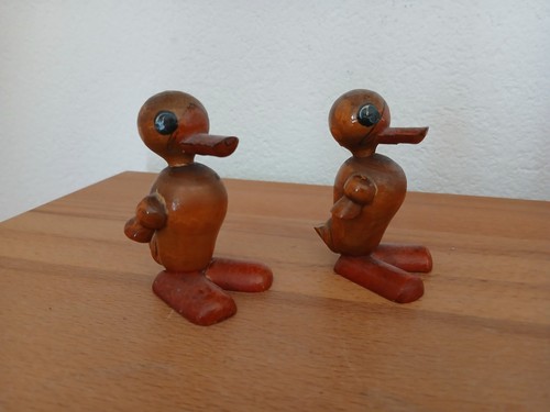 Ente küken birke - ente,