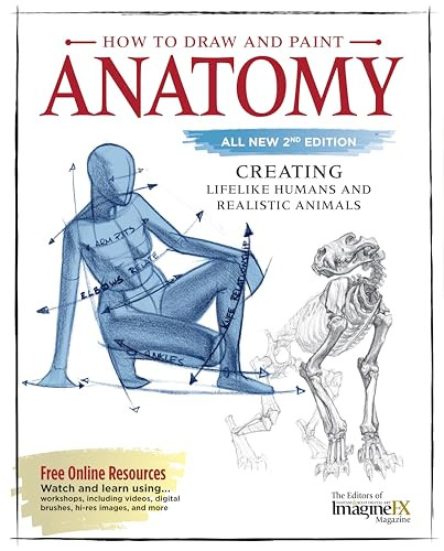 How draw and - how, anatomy