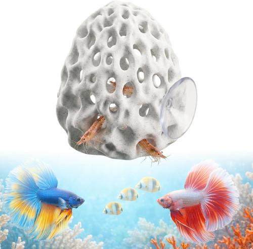 Garnelen versteck aquarium - garnelen,
