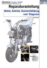 Reparaturanleitung RIS Skyteam