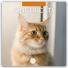 Ginger Cats - Rote Katzen -