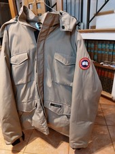 Canada goose - canada,