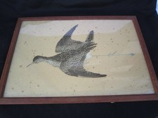 Vögel Waldschnepfe 19. Jhd