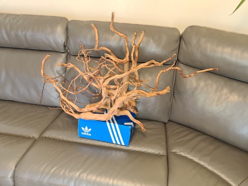 Aquarium holz extra groß - aquarium,