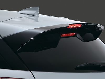 Dachspoiler hinten lackiert - , in