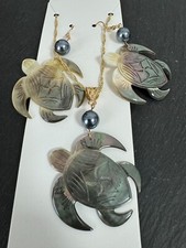 Abalone schildkröte - abalone, +