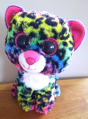 Katze gepard bunt mit - katze,