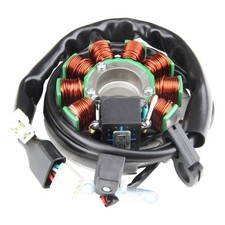 Stator Lichtmaschine für
