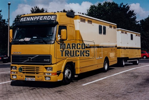 Lkw foto volvo - foto, horse