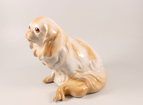 Großer pekinese hund - pekinese,