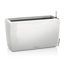 Lechuza Cararo - weiß