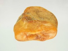 Schöner Butterscotch Egg Yolk