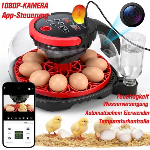 Inkubator für eier - für,