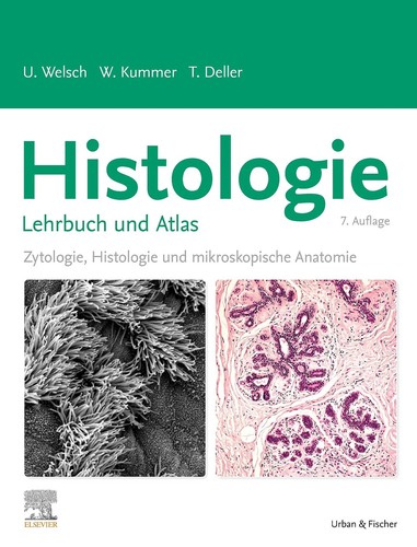 Histologie lehrbuch und - histologie,