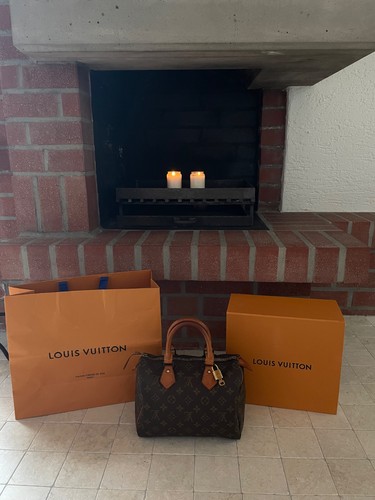 Louis vuitton speedy tasche - louis, 25