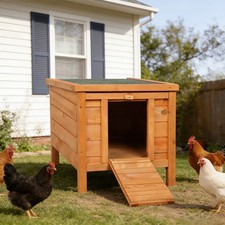 Kaninchenstall Hasen Stall