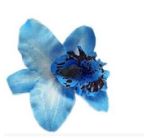 Orchidee haarclip blüte - orchidee,