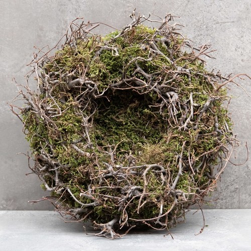 Naturkranz nest moos äste - moos,