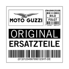 Speiche Moto Guzzi, verchromt