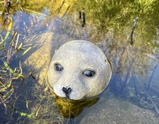 Teichfigur seehund robbe - seehund,