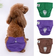 Bis hundewindel waschbar - l,