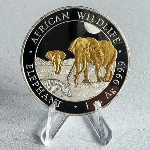 African wildlife 2026 - wildlife,