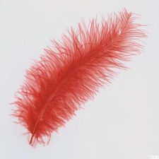 15 Marabufedern ca. 10 cm lang