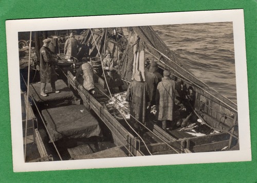 Meeresangeln rumpfschlepper - meeresangeln,