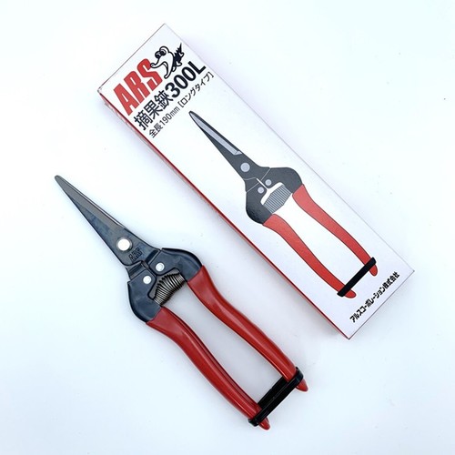 Ars long nose - ars,