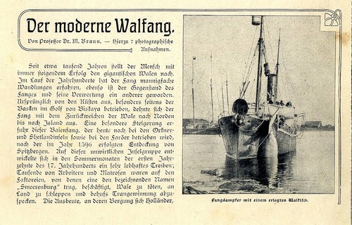 Moderner walfang eismeerfang - moderner,