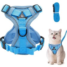 Katzengeschirr Anti-Ausbruch