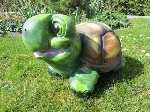 Schildkröte lebensgroß